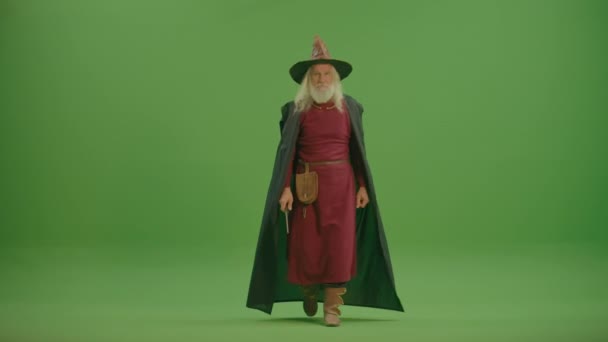 緑の画面 魔法の杖で呪文を唱えるクロークと中世の衣服に灰色のひげを持つウィザードの肖像画 呪文とキャスター 魔法と魔術 魔法学校 — ストック動画