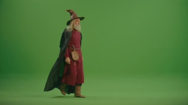 Groen Scherm Een Glimlachende Tovenaar Een Magische Hoed Mantel Loopt — Stockvideo