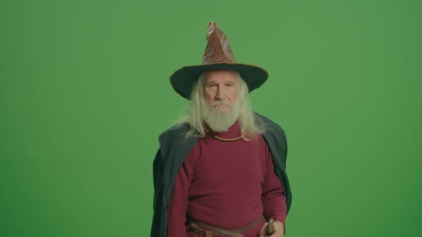 Schermo Verde Mago Con Una Barba Grigia Mantello Abbigliamento Medievale — Video Stock