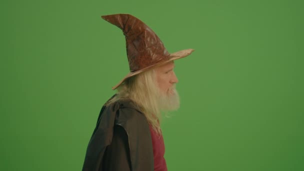 绿色屏风 一个身披魔法帽 身穿中世纪衣服 头戴灯笼的老魔法师遥望远方 魔法森林 一个神秘而神秘的世界 巫术和神秘术 — 图库视频影像