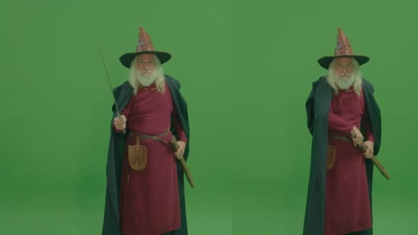 Split Green Screen Montage Portrait Old Wizard Gray Beard Dressed — Stock Video