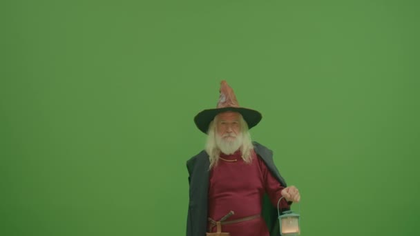 绿色屏风 魔帽中的魔法师和中世纪服装中的魔法师的画像 带着灯笼 遥望远方 魔法世界 一个神秘而神奇的世界 万物皆有可能 — 图库视频影像
