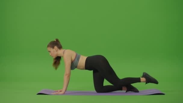 Sportswear Strong Fit Woman 칼로리 훈련을 강화하는 건강의 크로마키그린 스크린에 — 비디오