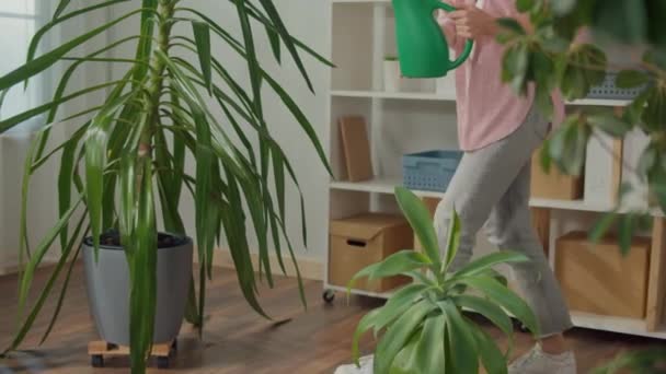 Joven Sonriente Ocupa Las Plantas Interior Acogedor Interior Del Hogar — Vídeo de stock