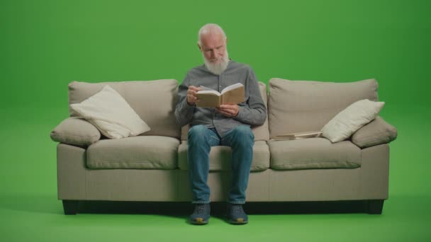 绿色屏风 一个长着白胡子的聪明老人的画像 坐在沙发上看书 一个老年人翻阅着一本书的书页 康乐活动 康乐活动概念 — 图库视频影像