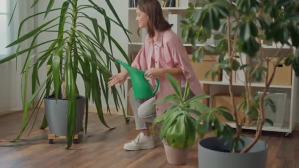 微笑的年轻女人照顾室内植物 舒适的家居 城市公寓里的快乐生活 健康的生活方式 城市里的植物 城市里的植物 — 图库视频影像