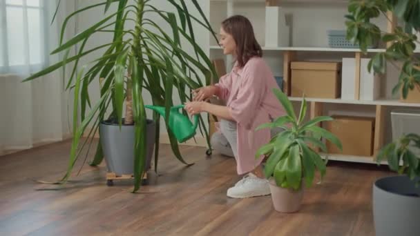Lächelnde Junge Frau Kümmert Sich Zimmerpflanzen Gemütliche Inneneinrichtung Glückliches Leben — Stockvideo