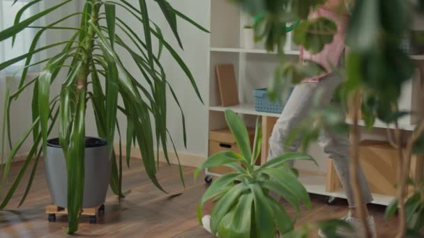 笑顔の若い女性は 屋内植物の世話をします 居心地の良い家のインテリア 市内の植物と都市のアパートで幸せな生活 健康的なライフスタイル 市内で成長している植物 都市の設定で植物 — ストック動画