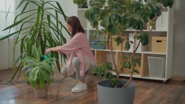 Smiling Young Woman Takes Care Indoor Plants Cozy Home Interior — Stock Video