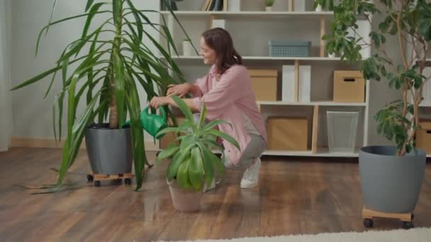 Sorrindo Jovem Mulher Cuida Plantas Interiores Casa Aconchegante Interior Vida — Vídeo de Stock