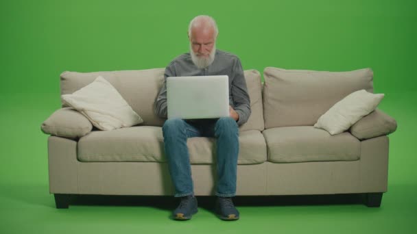 绿色屏风 一个微笑的老人坐在沙发上 在笔记本电脑上工作 一个聪明的老年人 自由职业者 使用笔记本电脑在网上浏览 资深科技使用者的安全及私隐关注 — 图库视频影像