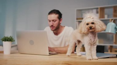 Duygusal Bağlantı, Hayvan Dostluğu, Samimi Yaşam Tarzı. Genç adam evdeki kanişiyle sessiz vakit geçirmekten hoşlanıyor. Tatlı Bağ Anı, Yumuşak Enerji ve Saf Dijital Çağ Bütünlüğü