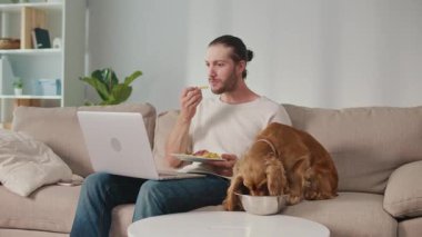 Sağlıklı rutin, Evcil Hayvan Besleme, Dijital Denge. Köpeği yakınlarda kendi yemeğinin tadını çıkarırken adam masa başında çalışıyor ve yiyor. Sakin, Senkronize Sağlık ve Günlük Odaklanma