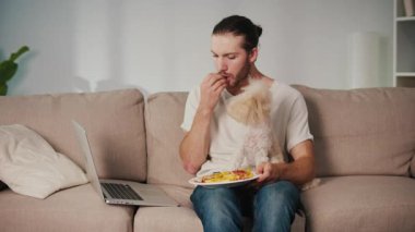 Basit Mutluluklar, Samimi Anlar, Günlük Bond. Genç adam köpeği ile koltukta oturur, gevşemiş zamanı paylaşır ve patates kızartması yer. Dürüst, Sıcak Dostluk Sahnesi, Yemek ve Evde Rahatlık