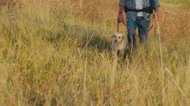 Terapi Yürüyüşü, Doğal Rehabilitasyon. Sırt çantalı yaşlı adam köpeğiyle dağları aşıyor. Emeklilikten sonra Sakin, Hareketlilik İyileştirme ve Açık Hava Sağlığı Seyahati