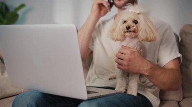 Duygusal Destek, Akıl Sağlığı, İş-Yaşam Dengesi. Evden Genç Adam Çalışıyor, Köpeği Yanında Otururken Çevrimiçi Toplantıya Odaklanıyor. Dijital Bağlantının Sakin Anı ve Hayvan güdümlü İstikrar