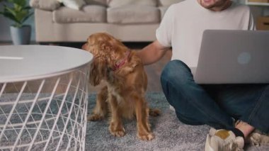 Mikro neşeler, Akıl Sağlığı, Günlük Denge. Genç Adam, köpeği ile koltukta iletişim kurarken dizüstü bilgisayarda çalışıyor. Yumuşak, destekleyici bir an Harmanlayıcı Odak, Duygu ve Bağlantı