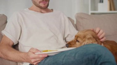 Hayvan Sağlığı, Sağlıklı Paylaşım, Sıcak Bağ. Dikey video. Man ve Dog koltuğa oturur, dinlenir. Köpek, sahibinden patates kızartması aldı. Gerçek Bağlantı, Bakım ve Günlük Denge Anı