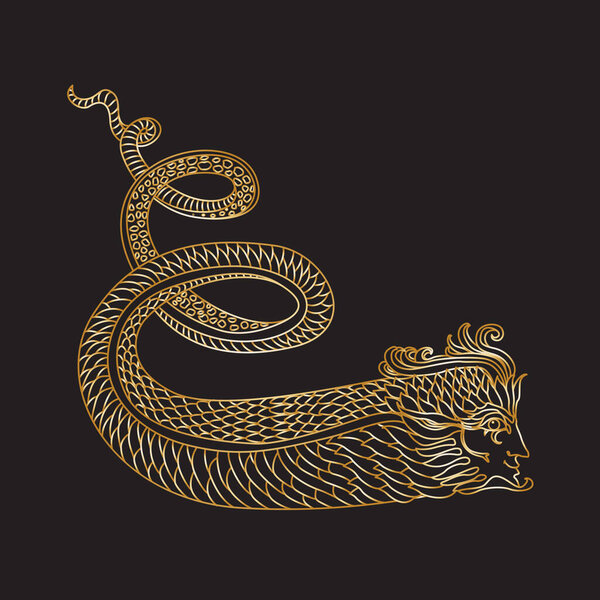 Vector gold contour drawing of fantasy underwater snake man on a black background. Mystical image, occult symbol, esoteric illustration 