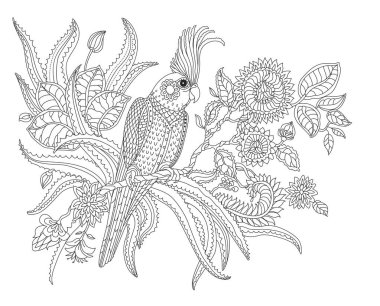 Muhteşem tutkulu meyve çiçekleri, aloe dalları ve yapraklarıyla peri masalı papağanı kuşu. Siyah ve beyaz ince çizgi çizimi. Yetişkinler ve çocuklar kitap sayfasını boyuyor