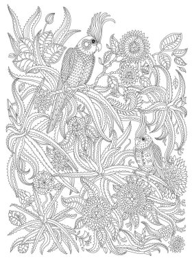 İnce çizgi halinde, muhteşem çiçekli papağan kuşları, aloe dalları, beyaz arka planda yapraklar. Yetişkinler ve çocuklar kitap sayfasını boyuyor