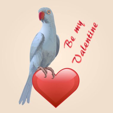 Valentine Day card. Vector blue ring neck parrot bird with red heart on a beige background 