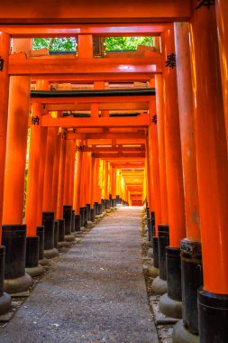 Vermilyon yakın kapılarını ünlü dönüm noktası Fushimi Inari taisha, Kyoto, Japonya güneyinde binlerce. Fushimi Inari en önemli Şinto kutsal ve en eski Kyoto'da var. Sunrise ışık vurdu.
