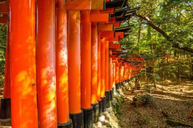 Fushimi Inari Taisha 'daki Red Torii kapıları Japonya' nın Kyoto kentindeki yolları kaplıyor. Fushimi Inari en önemli tapınaktır..