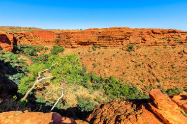 Kızıl Merkez Avustralya 'daki King' s Canyon uçurumlarının muhteşem çöl manzaralı kırmızı kumtaşı, Kuzey Bölgesi. Watarrka Ulusal Parkı 'nın hava manzarası.
