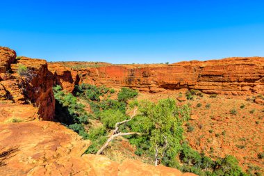 Watarrka Ulusal Parkı 'nın havadan görünüşü. Kurak topraklarda gezinti ve muhteşem çöl manzaralı kırmızı kumtaşı..