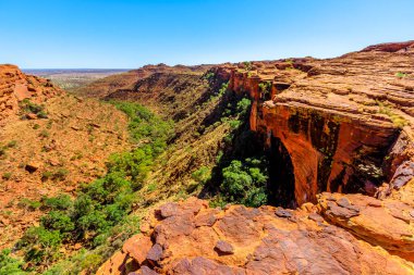 Avustralya Kanyonu, Outback Red Center, Kuzey Bölgesi. Krallar Kanyonu 'nun kenarında uzun duvarlar, kırmızı kumtaşı ve sakız ağaçları ve çalı bitkisi olan Cennet Bahçesi..