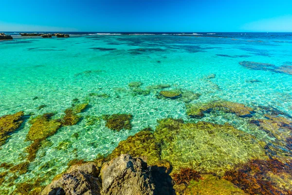 Turismo Perth Rottnest Island Australia Occidental Vistas Panorámicas Desde Las — Foto de Stock