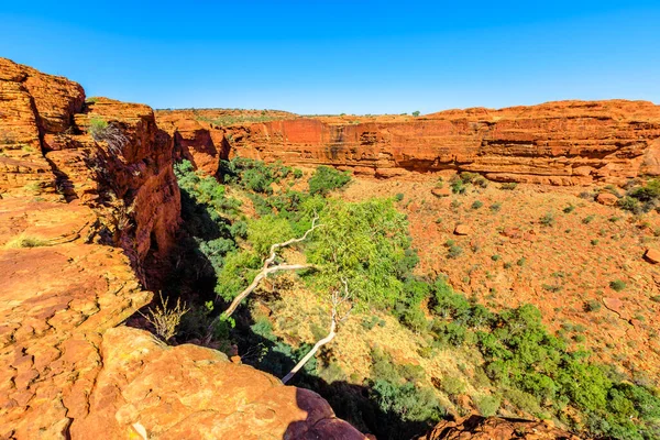 Kings Canyon Cliffs Australia Outback Red Center Northern Territory Aerial — Stock Photo, Image