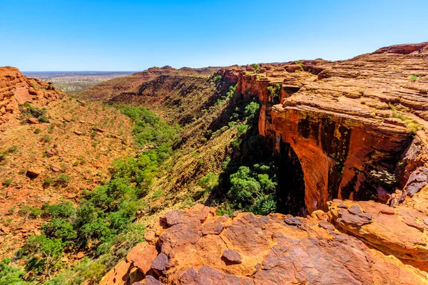 Canyon of Australia Outback Red Center, Northern Territory. Edge of Kings Canyon with tall walls, red sandstone and Garden of Eden with gum trees and bush vegetation.
