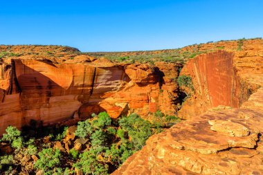 Watarrka Ulusal Parkı 'nın panoramik manzarası, Avustralya Kırmızısı Merkezi, Kuzey Bölgesi. Krallar Kanyonu 'nun kenarında uzun duvarlar, kırmızı kumtaşı ve sakız ağaçları ve çalı bitkisi olan Cennet Bahçesi..