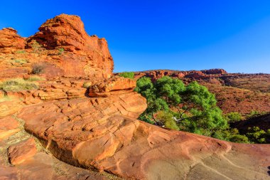 King 's Canyon' daki dikey uçurumlar, Avustralya Outback Red Center, Kuzey Bölgesi. Watarrka Ulusal Parkı 'nın havadan görünüşü. Kurak topraklarda gezinti ve muhteşem çöl manzaralı kırmızı kumtaşı.