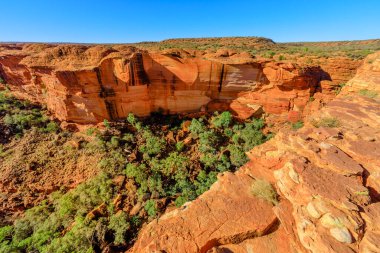 Krallar Kanyonu 'nun yüksek duvarları, kırmızı kumtaşı ve sakız ağaçları ve çalı bitkisi olan Cennet Bahçesi. Watarrka Ulusal Parkı, Avustralya Kırmızısı Merkezi, Kuzey Bölgesi.