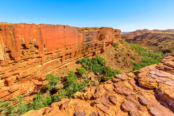 Edge of Kings Canyon with tall walls, red sandstone and Garden of Eden with gum trees and bush vegetation. Canyon of Australia Outback Red Center in Northern Territory.
