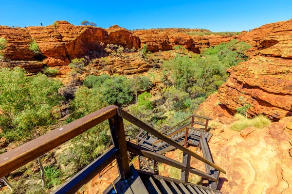 Stairs at Kings Canyon leading down to Garden of Eden, Watarrka National Park, Northern Territory. Aerial rugged landscape, red sandstone, gum trees at canyon gorge. Outback Red Center, Australia.