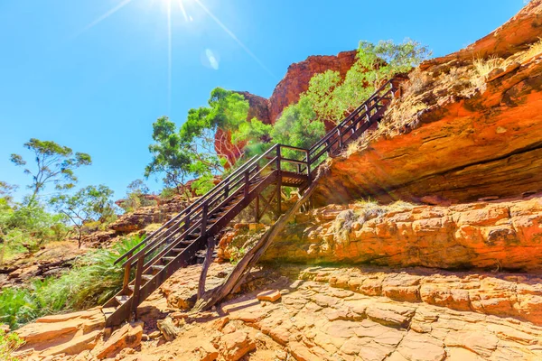 Escadas Madeira Longo Kings Canyon Rim Com Passarela Sobre Jardim — Fotografia de Stock