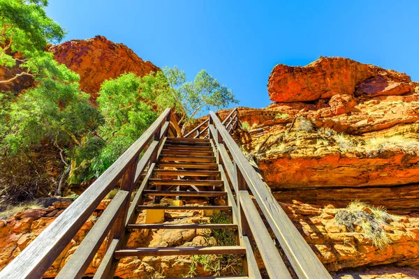 Escaleras Madera Largo Kings Canyon Rim Con Pasarela Sobre Garden — Foto de Stock
