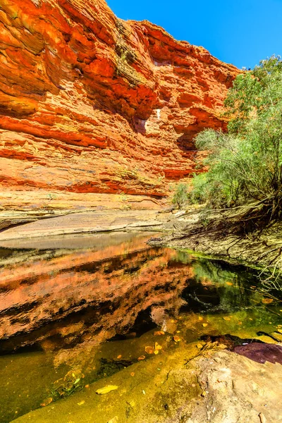 타리카 동산에 물웅덩이 수영장 Kings Canyon Rim Walk Australia Outback — 스톡 사진