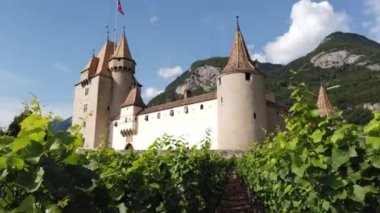 İsviçre, Canton Vaud 'daki Chateau dAigle' den üzüm yaprakları ve sıra sıra asmalar. Aigle Kalesi, teraslı üzüm bağları ve İsviçre Alpleri. Şarap tatma turları yapılan şarap bölgesi..