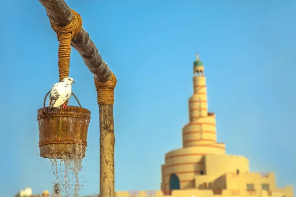 Gros Plan Pigeon Ancienne Fontaine Puits Lieu Touristique Célèbre Milieu — Photo