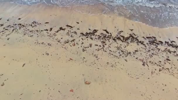 Sfondo Mare Sabbia Visibile Questo Scatto Aereo Tramonto — Video Stock
