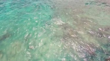 Güneşli bir günde, mercan resifindeki deniz suyunun havadan görünüşü. Boşluğu kopyala.