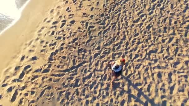 Μια Ηλιόλουστη Παραλία Φαίνεται Και Μια Γυναίκα Περπατά Μέσα Από — Αρχείο Βίντεο