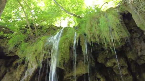 クロアチアのプリトヴィツェ国立公園の滝の空中ビュー 湖と自然林公園は リカ地域に落ちます ユネスコの世界遺産に登録されたプリトヴィツカ イェゼラ — ストック動画