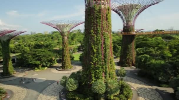 Singapore April 2018 Supertree Grove Renowned Sightseeing Hotspot Marina Bay — Wideo stockowe