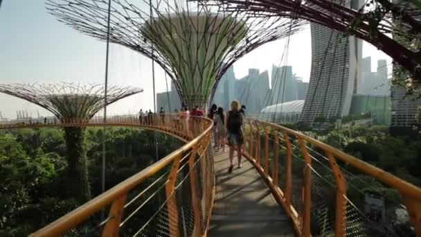 Сингапур Апреля 2018 Года Солнечный День Кристально Чистым Небом Supertree — стоковое видео